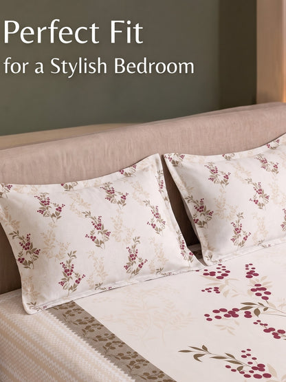 BOTTEGA PANEL Luxury King Size Bedsheet | 100% Cotton | 210 TC Premium Fabric | 108 x 108 Inches | Includes 2 Pillow Covers