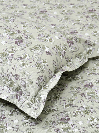 Corsica 186 TC Cotton King Size Bedsheet | 108x108 inches | Soft & Breathable Fabric | Flat Sheet with 2 Pillow Covers