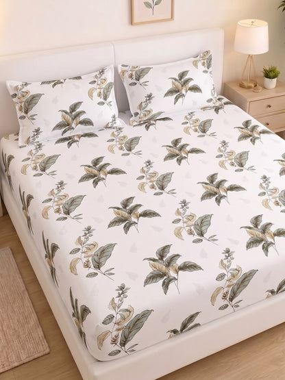 Noeul Home 100% Cotton King Size Bedsheet | 210 TC Soft & Breathable Fabric | 108 x 108 Inches | 2 Pillow Covers Included
