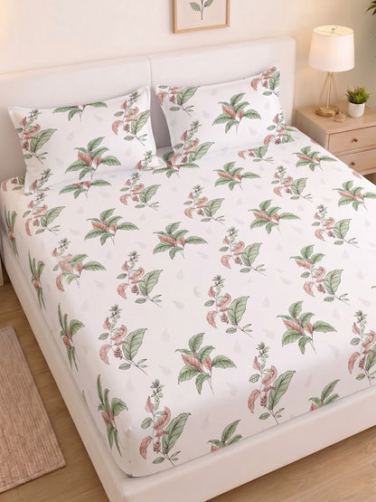 Noeul Home 100% Cotton King Size Bedsheet | 210 TC Soft & Breathable Fabric | 108 x 108 Inches | 2 Pillow Covers Included