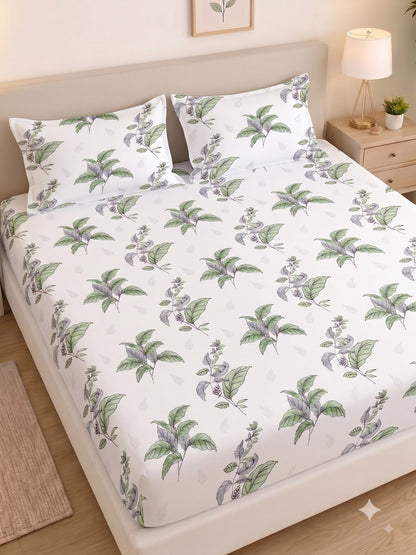 Noeul Home 100% Cotton King Size Bedsheet | 210 TC Soft & Breathable Fabric | 108 x 108 Inches | 2 Pillow Covers Included