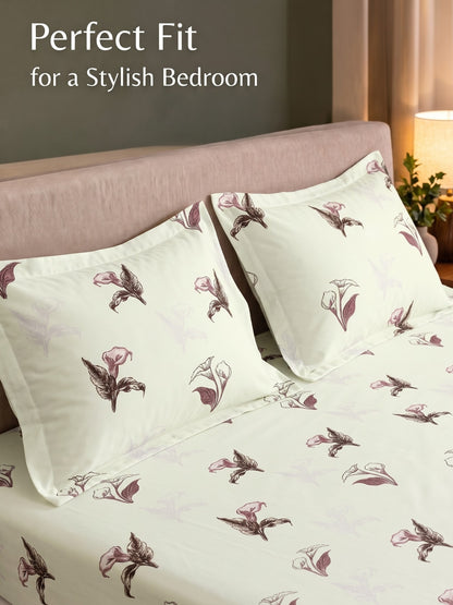 Noeul Home 100% Cotton King Size Bedsheet | 210 TC Soft & Breathable Fabric | 108 x 108 Inches | 2 Pillow Covers Included