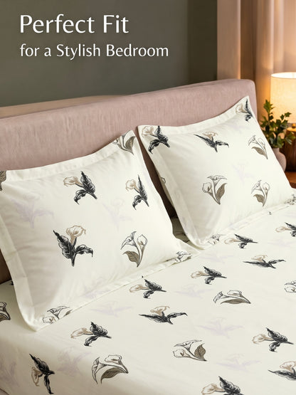 Noeul Home 100% Cotton King Size Bedsheet | 210 TC Soft & Breathable Fabric | 108 x 108 Inches | 2 Pillow Covers Included